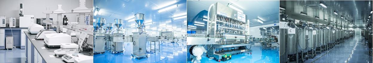Company Overview